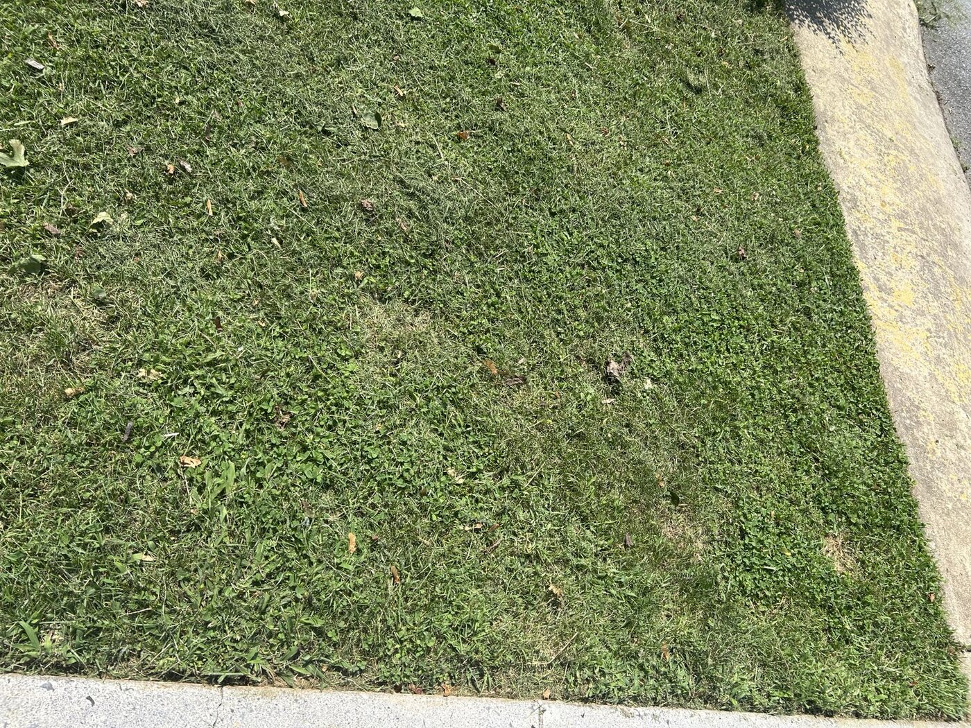 Detailed sidewalk edging