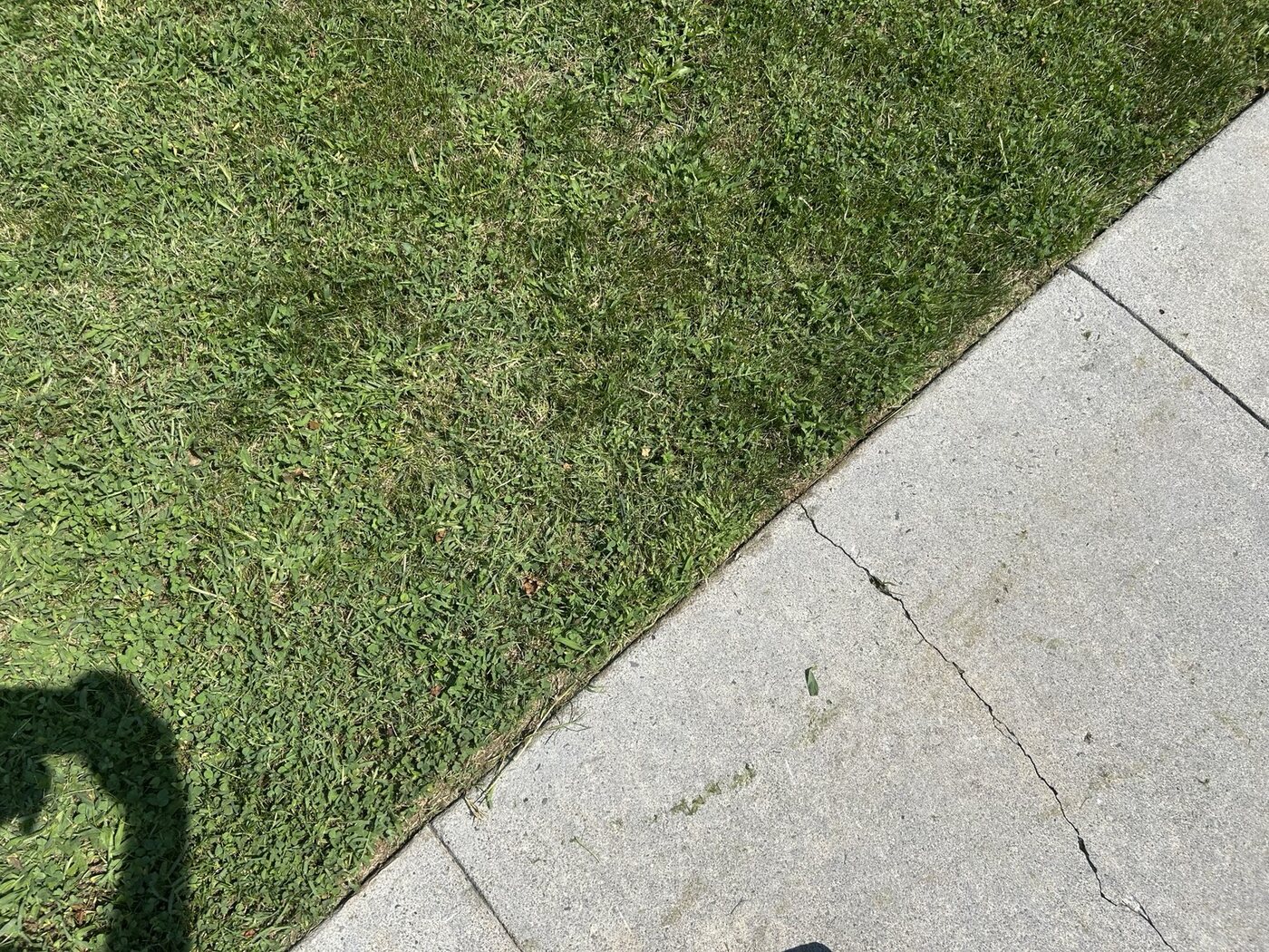 Finished lawn edge and walkway