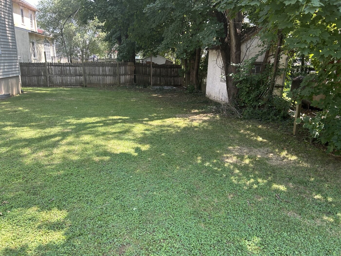 Finished rear lawn and property line