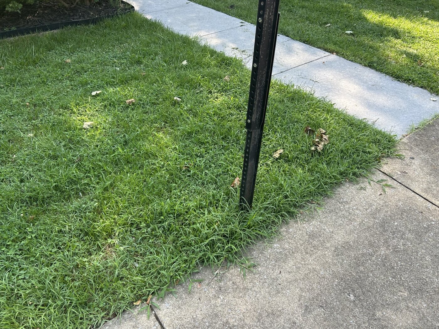 Lawn trimming and edging detail